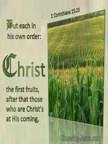 1 Corinthians 15:23 Each In Order : Christ The Firstfruit (green)